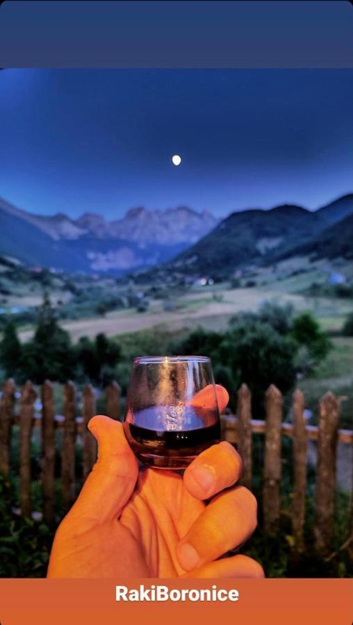 Guesthouse Alpini Lepushe المظهر الخارجي الصورة