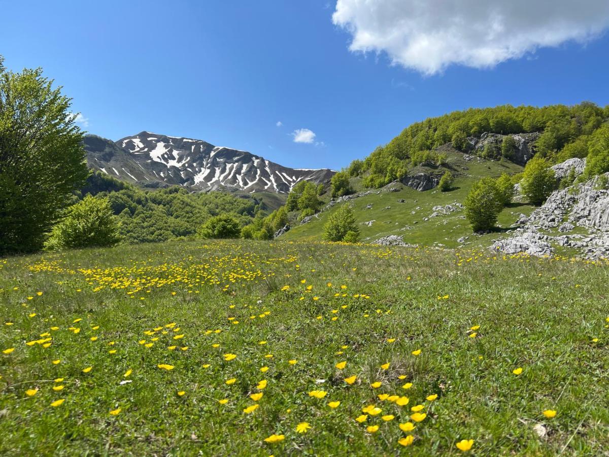 Guesthouse Alpini Lepushe المظهر الخارجي الصورة