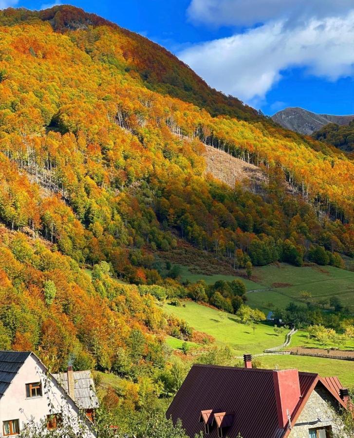 Guesthouse Alpini Lepushe المظهر الخارجي الصورة